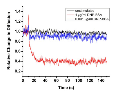 Confocal image series compressed into a single plane, depicting a live RBL-2H3 cell labeled with three spectrally distinct quantum dot-based probes.