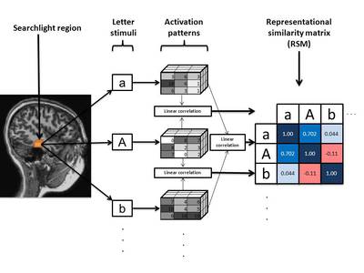 Smolensky Highlight Fig 1