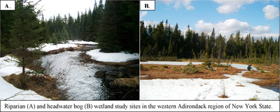 Wetland sites with mercury cycling