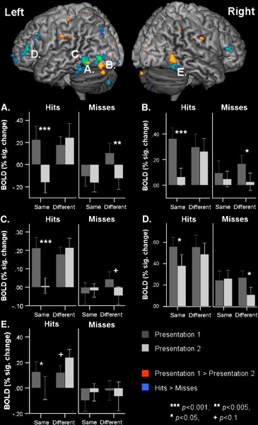 Brain activation predicts recognition accuracy