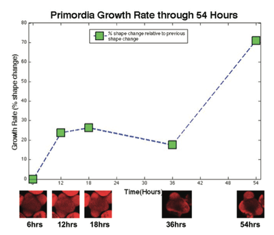 Sample growth curve from growth analysis, showing growth as change in 3D shape.