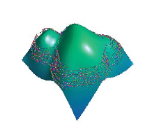 Full meristem reconstruction from 2D slices. Lines on surface represent boundaries of original 2D stack images.