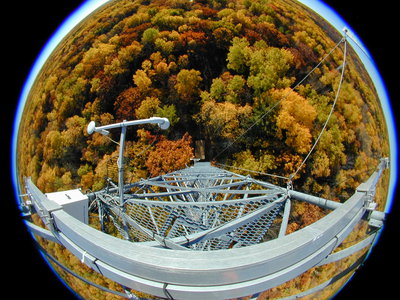 The Ameriflux Tower footprint at the University of Michigan Biological Station