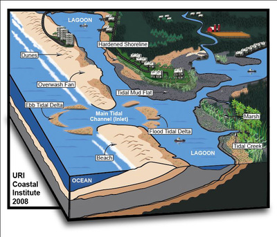 Coastal lagoons are complex ecosystems that will be impacted by global climate change