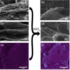 Figure 1. Scanning electron micrographs (SEM) of graphene-CNTs nanocomposites, CCG and an atomic force micrograph (AFM) of a single CCG sheet.