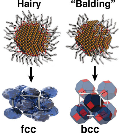 Surface chemistry controls self-assembly of quantum dots