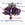 Fig. (1): Production of Hydrogen by Platinized Photosystem I