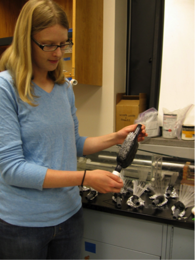 Art Meets Science. CiBER IGERT trainee Lindsay Waldrop shows physical models of crab antennules used to study how animals smell. She made these glass-blown models at The Crucible, a non-profit industrial art and teaching studio in Oakland, CA.