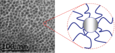 Nanoscale organic hybrid material for high-performance batteries