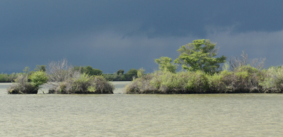 Liberty Island in the Sacramento-San Joaquin Delta