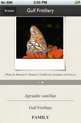 Butterfly_app_screenshot