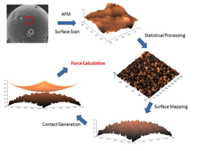 A predictive framework for the cohesion reduction of fine pharmaceutical powders via surface modification