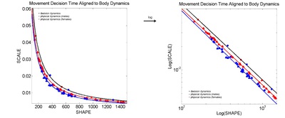 Shape and scale parameters of the gamma distributions for tennis serve