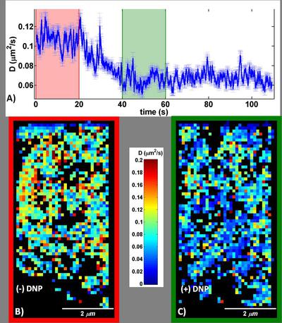 High density single particle tracking.