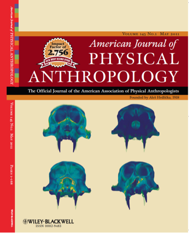 Finite Element Analysis of the Skull (as shown in AJPA May 2011)