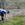 Sampling soil microbes in a California serpentine grassland