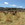 Sheep on a farm in Yolo County