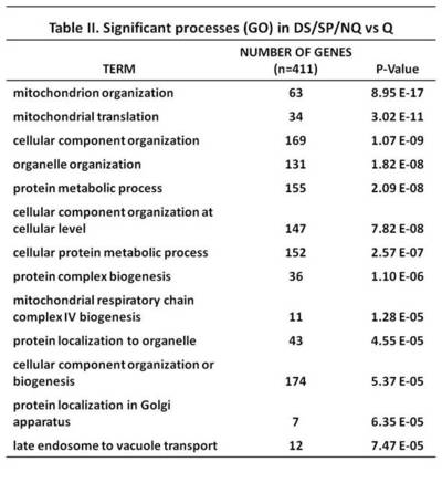 Significant processes (GO) in DS/SP/NQ vs Q