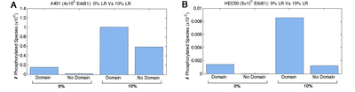 Impact of membrane landscape on phosphorylated species