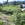 Vegetation on an abandoned ski slope