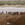 Maasai watering cattle