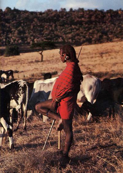 Maasai herder