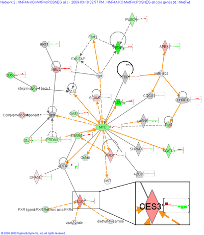 Regulatory Network -- Growth Hormone