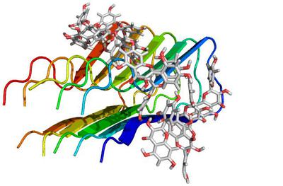 Moleular Modeling Image of Molecules Related to Alzheimer's Disease