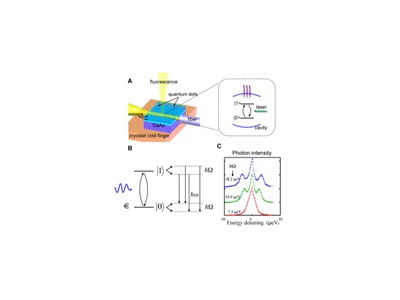 Fig. 1 Fluorescence spectrum and photon intensity