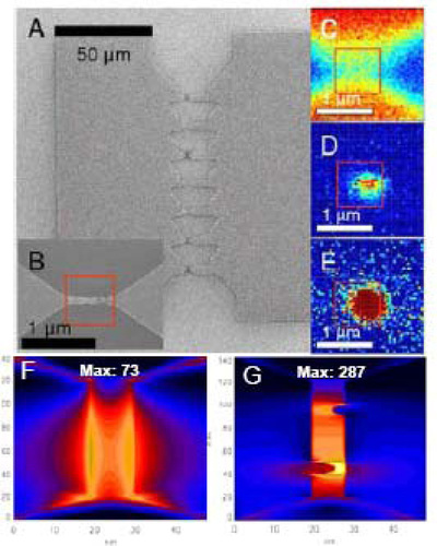 Probing single molecules electrically and optically at the same time