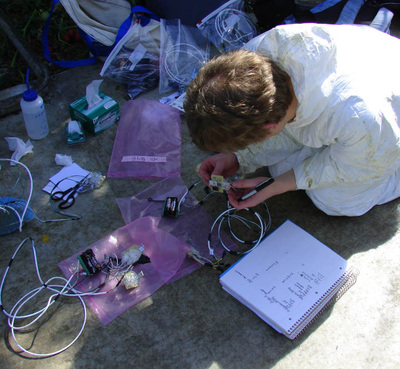 IGERT Student working on tomato sensor for local farm.