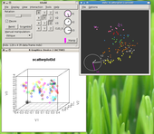 0504249_2009_chemminer-tutorial-ggobi