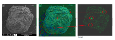 SEM image of a coated MCC particle