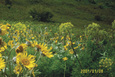 0114304_2008_prairie