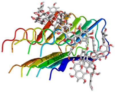 The association of the flavonoid morin with an AB aggregate.