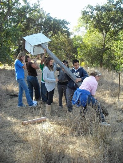 Raising a nest box