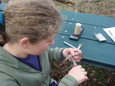 0801430_2010_aslan_birdbanding