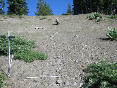 Abandoned ski run created by grading