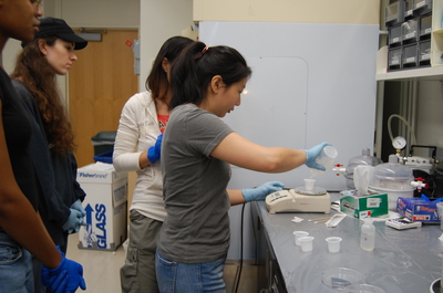 Bootcamp - cleanroom training