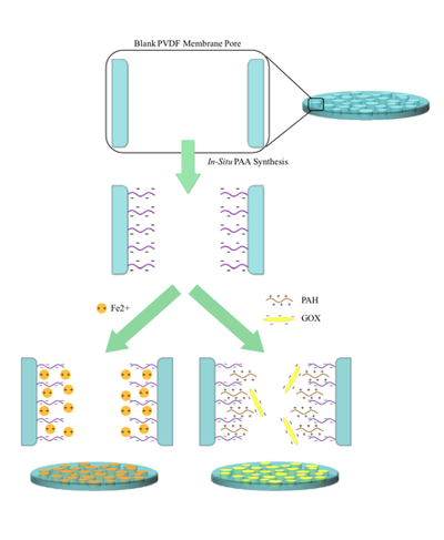 Schematic of composite membrane system