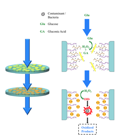 Schematic of free radical production and subsequent oxidation of target compound