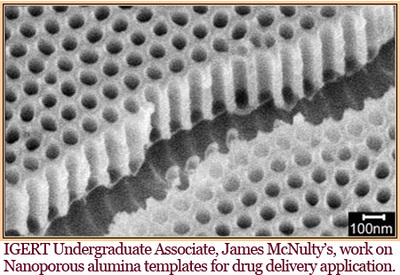 James McNulty Research Image