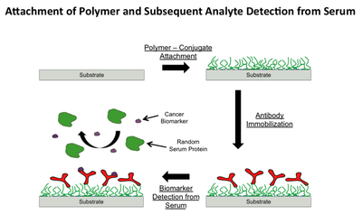 Cancer Diagnostic Sensor Schematic